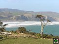 thn_The Catlins Coast 029.jpg